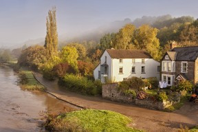 九游app下载中心-篮球运动员伤病康复进展，篮球运动员伤病康复进展情况汇报