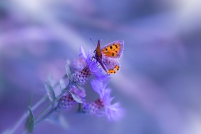 九游官网pc-传控球队是否更易陷入节奏断裂导致失球困境，传控足球过时了吗