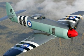 JIUYOU.COM-“马丁·高尔西如何塑造阿根廷美洲狮队的强大防守”