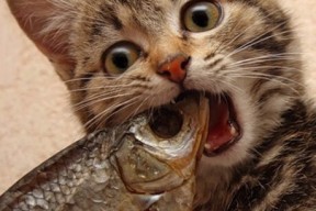 九游网游官网-斯文施瓦茨保持节奏 争取最佳成绩