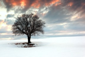 九游下载安装-体育公益项目助力青少年成长，体育公益项目名称