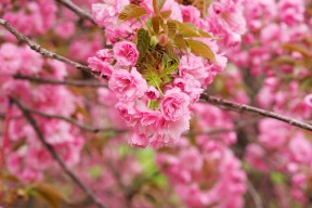 九游9游-CBA推动主客场文旅融合激发区域经济活力，cba主客场怎么区分