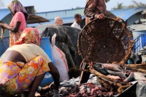 九游正版入口-南非男泳将破百米自由泳全国纪录，南非男泳将破百米自由泳全国纪录是多少