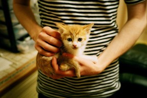 九游娱乐(jiuyou)官方网站-足球联赛战术创新推动比赛节奏，足球联赛战术创新推动比赛节奏的原因