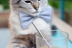 JiuyouAPP下载-倒三角中场稳定控球节奏，倒三角传球算不算越位