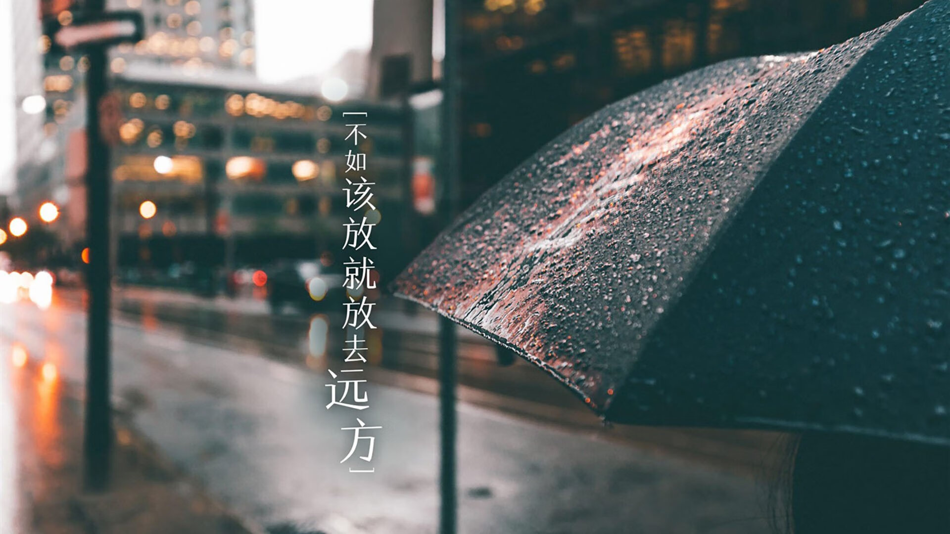 体育社交平台对青少年运动持续性的影响路径研究，体育社交功能