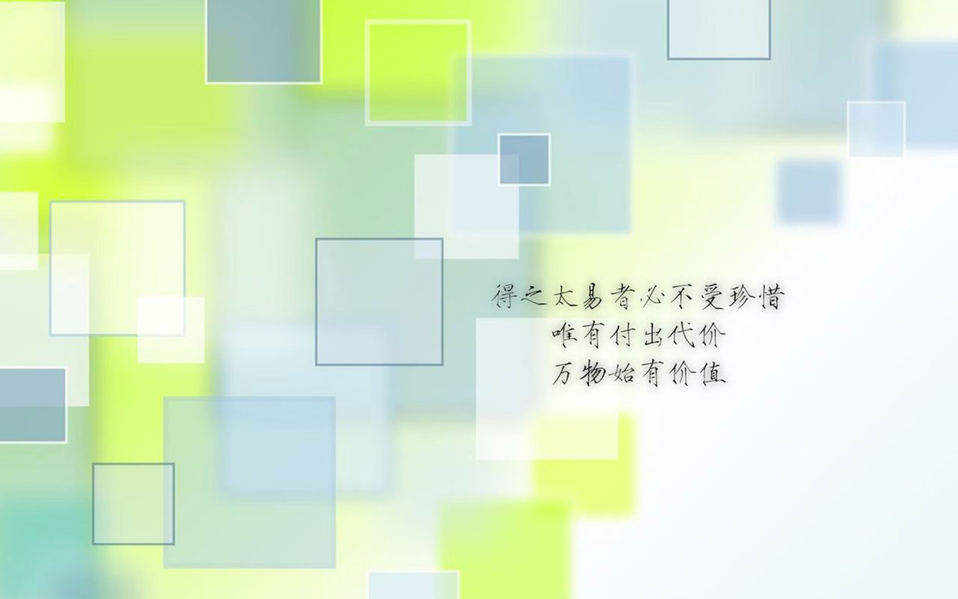 全国少儿武术锦标赛青少年展英姿，全国少儿武搏赛
