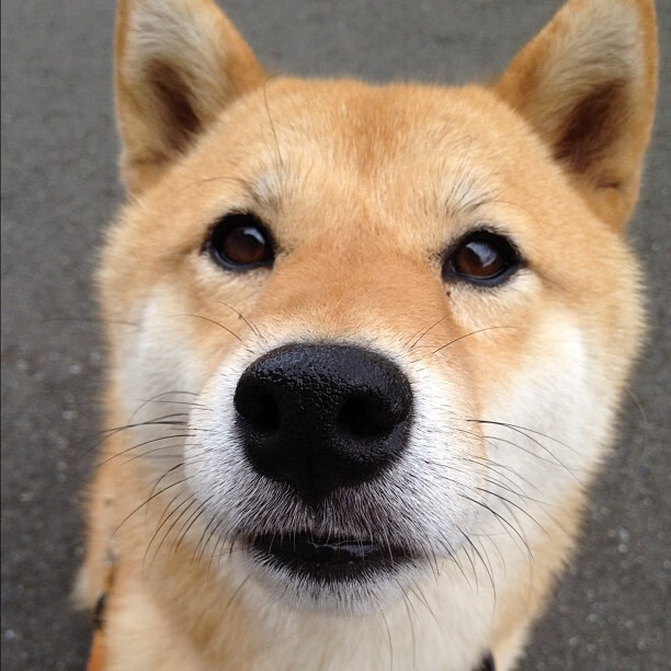 Cole Palmer决赛双响,成为切尔西新核心,bv切尔西