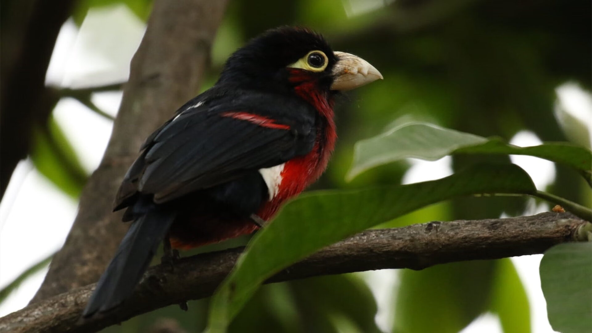 “快艇冲浪:马鞍山赛场引领极速水上运动的未来”