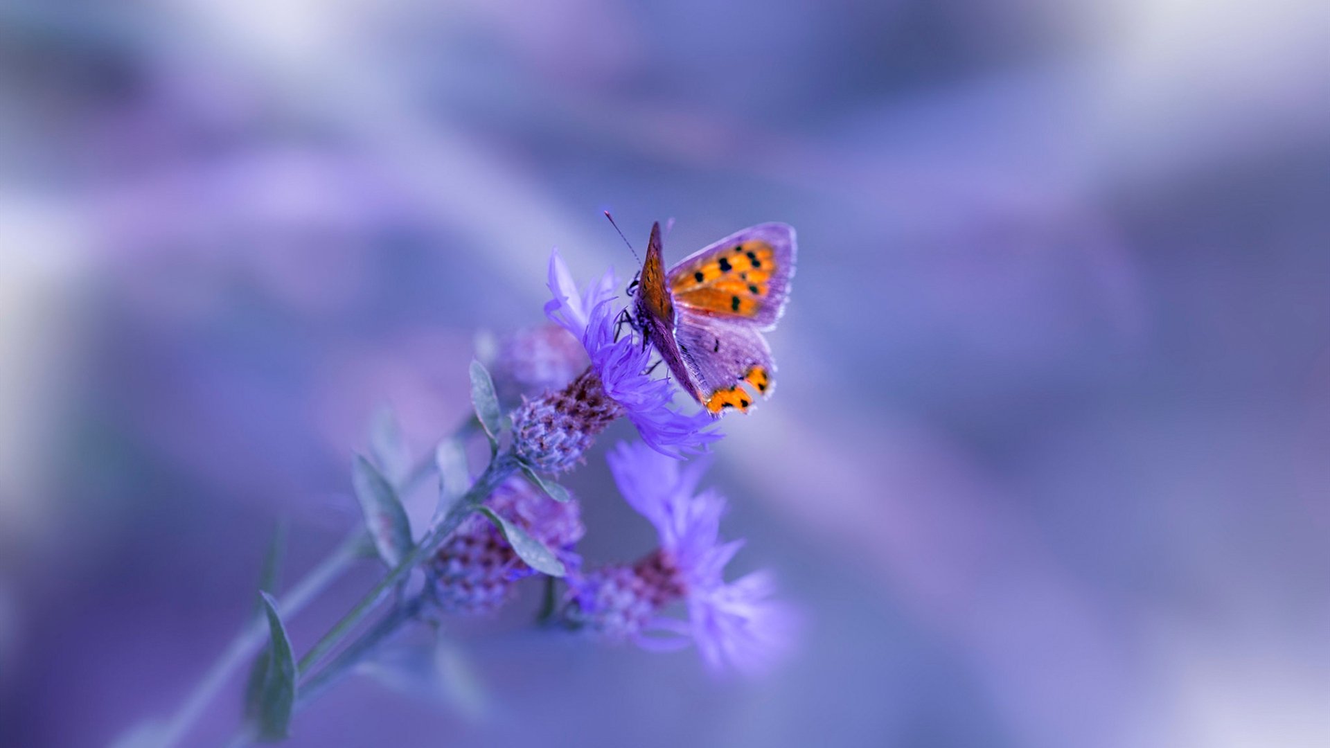 传控球队是否更易陷入节奏断裂导致失球困境,传控足球过时了吗