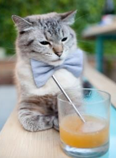 倒三角中场稳定控球节奏,倒三角传球算不算越位