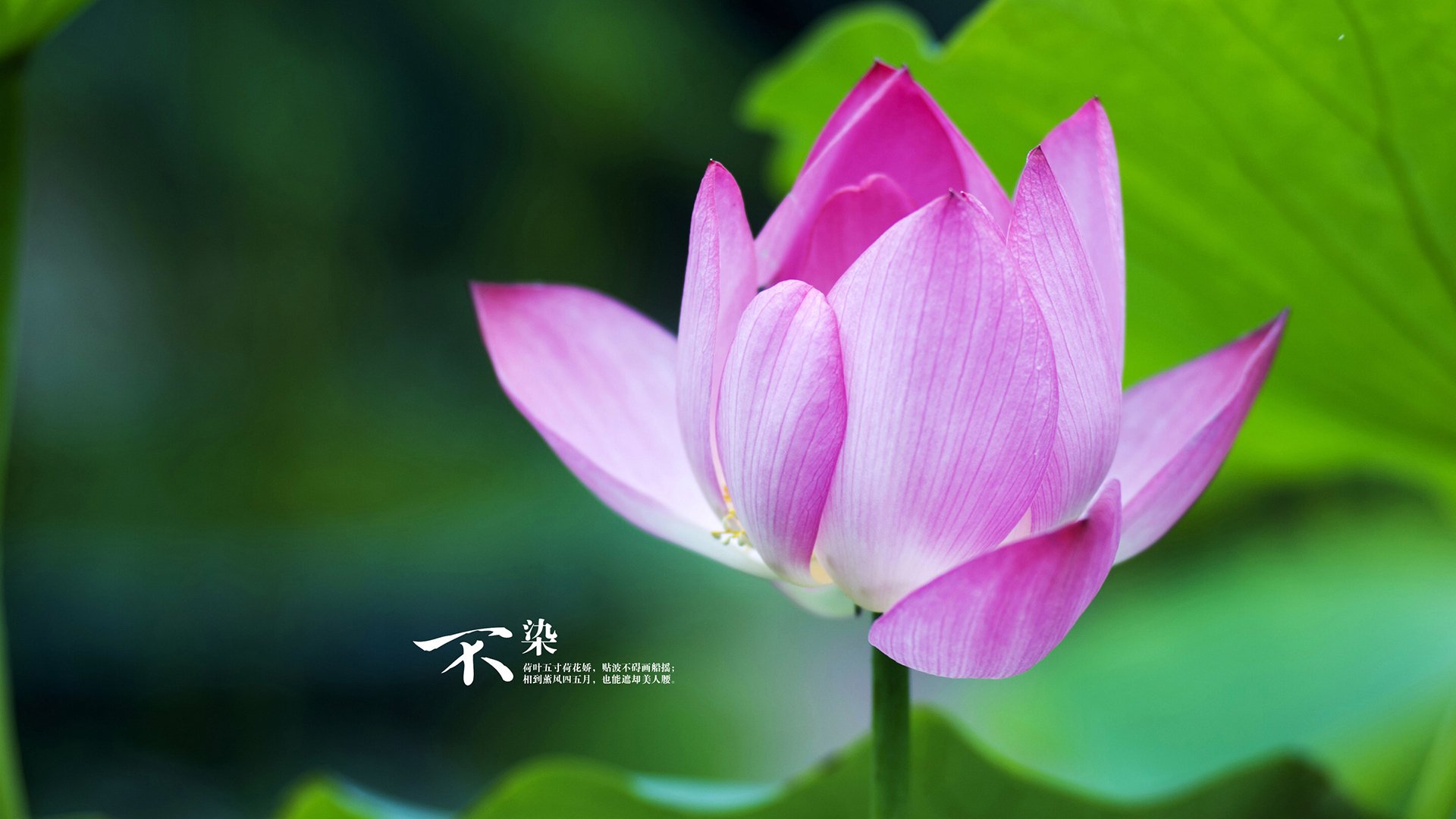 基层联赛标准制定与执行不力,基层比赛