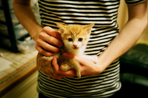足球联赛战术创新推动比赛节奏,足球联赛战术创新推动比赛节奏的原因