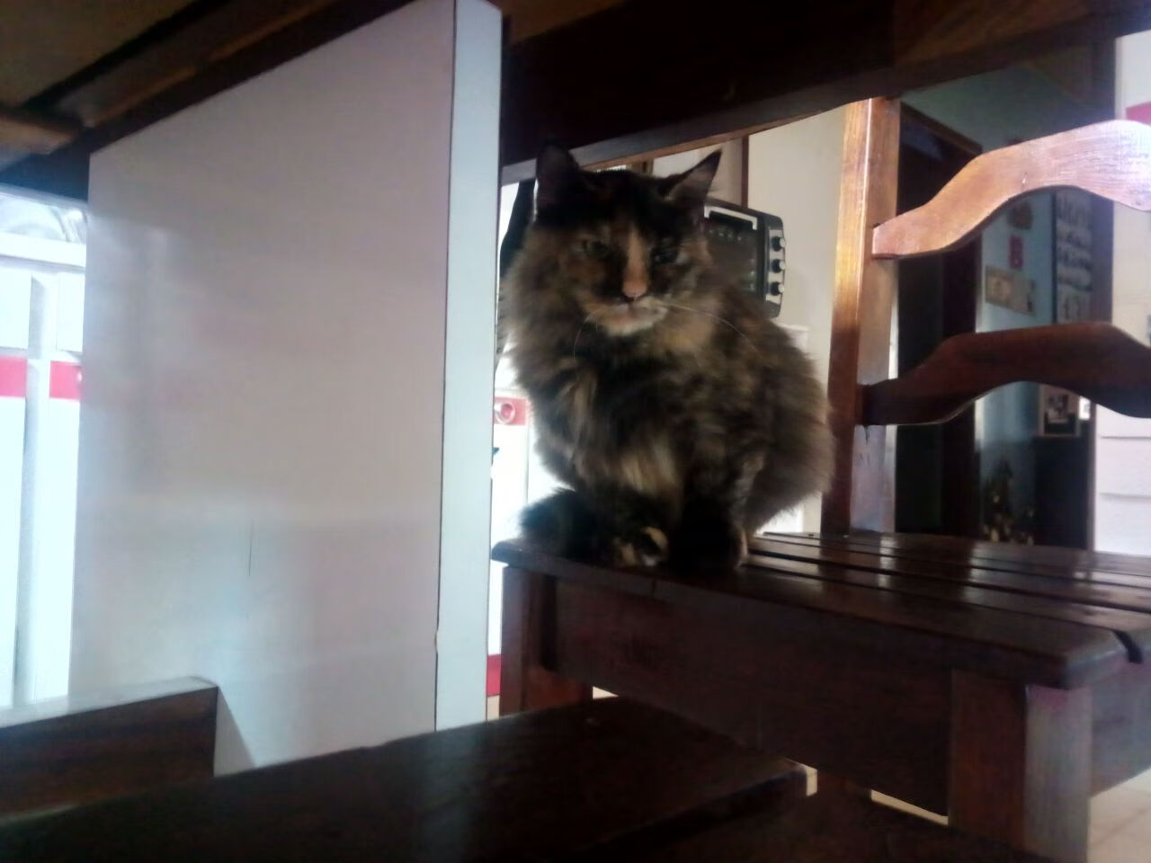 马术障碍赛北京站惊险刺激引发围观,马术障碍团体赛