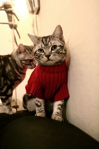 丁俊晖直播教学解答网友提问,丁俊晖主播