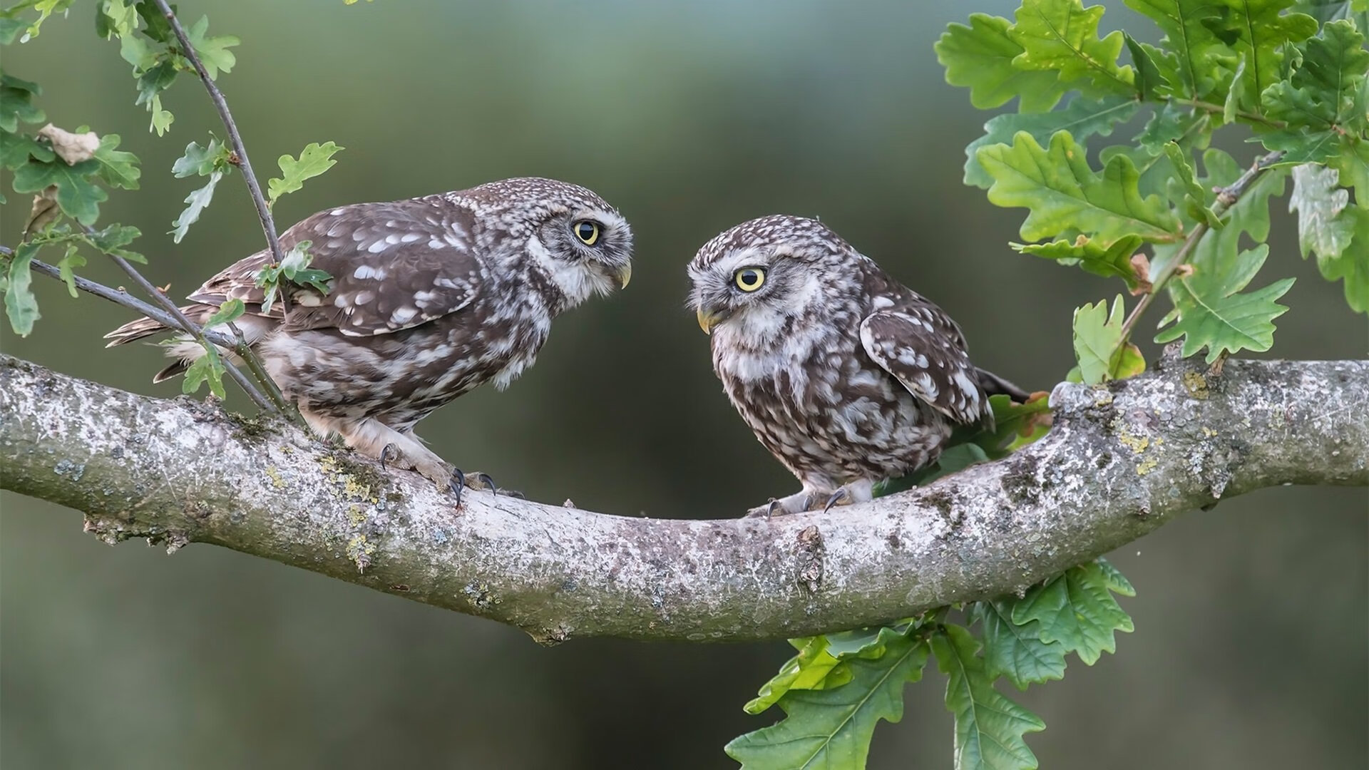 世界杯逆转经典:英雄完成不可思议的奇迹!,世界杯十大逆转