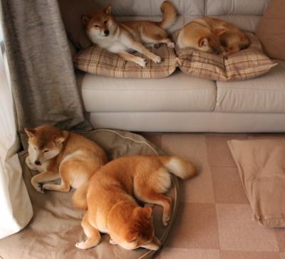 中国足球俱乐部探索校企合作培养足球人才,国内足球培训基地