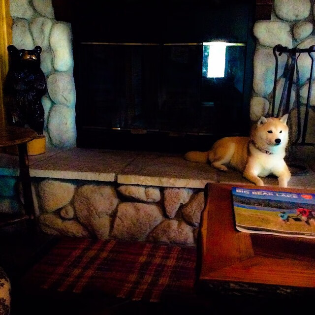 全国足球青训联盟成立,推动行业标准化发展,足协青训中心