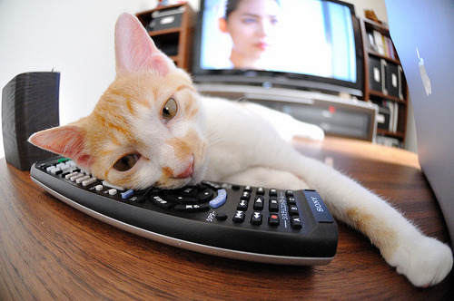 安东·李恩:全黑队的进攻领袖,用精准的传球和快速突破不断撕裂防线