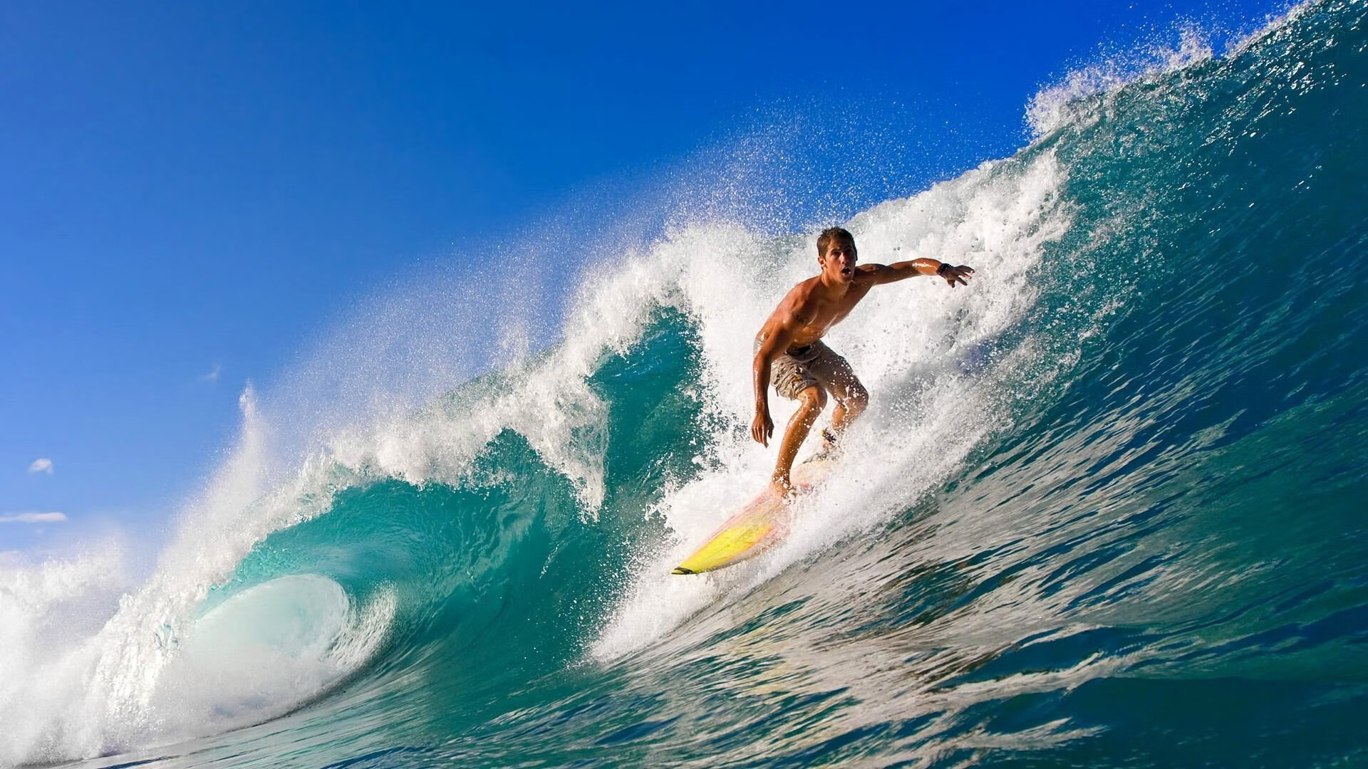 世界杯：文学杂志开设“足球专栏” 用文字记录绿茵场外的故事